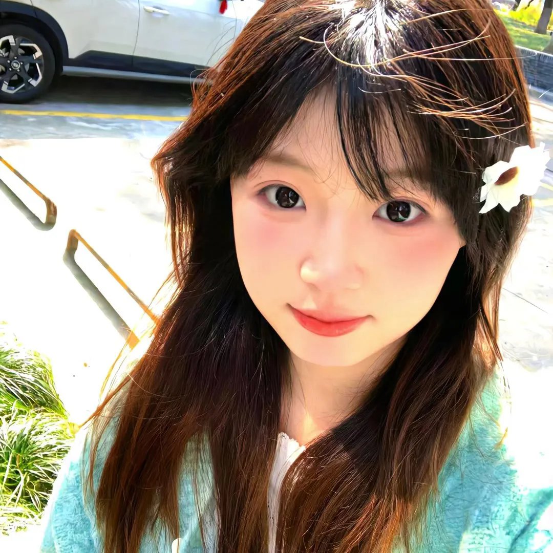 百鸟朝凤